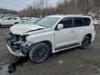 2022 LEXUS GX 460
