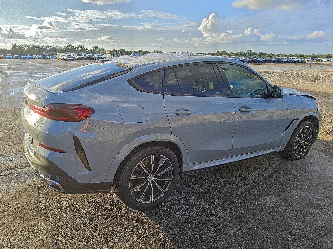 2026 BMW X6