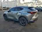 2024 LEXUS NX 250