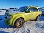 2011 FORD Escape Hybrid