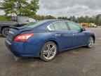 2011 NISSAN Maxima