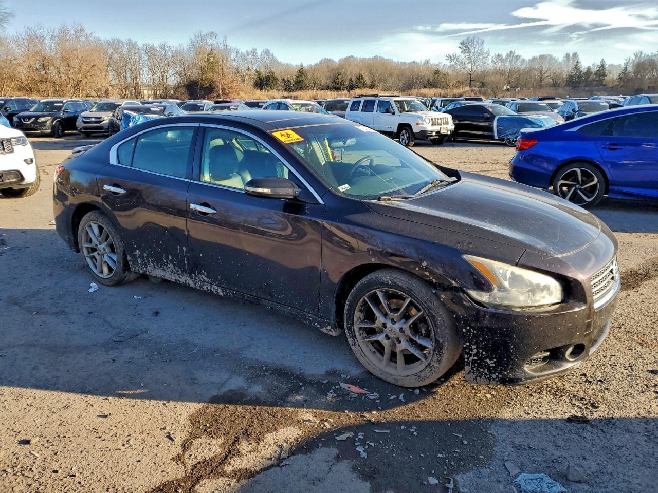2010 NISSAN Maxima