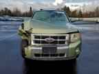 2008 FORD ESCAPE