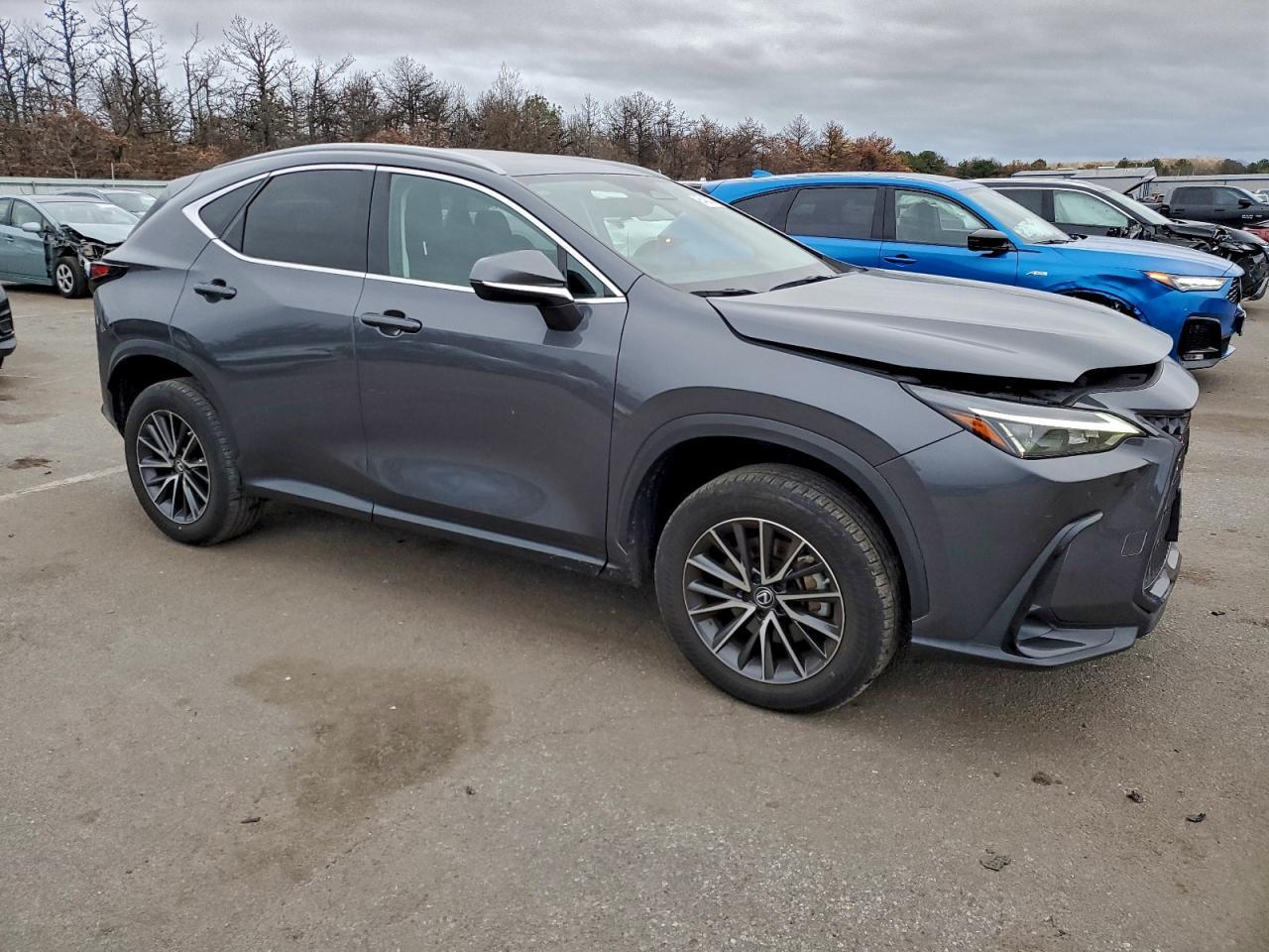 2023 LEXUS NX 250