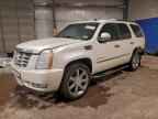2010 CADILLAC ESCALADE