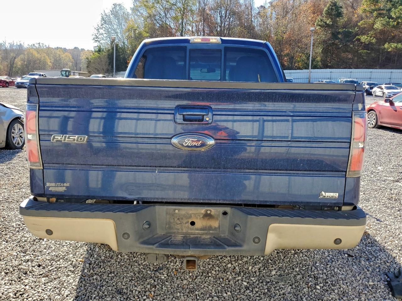 2010 FORD F-150