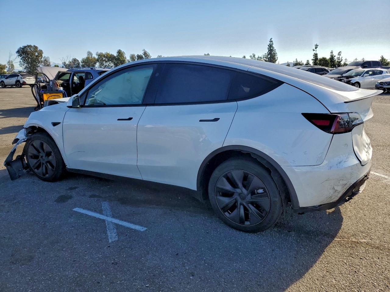 2025 TESLA MODEL Y