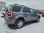 2010 FORD ESCAPE