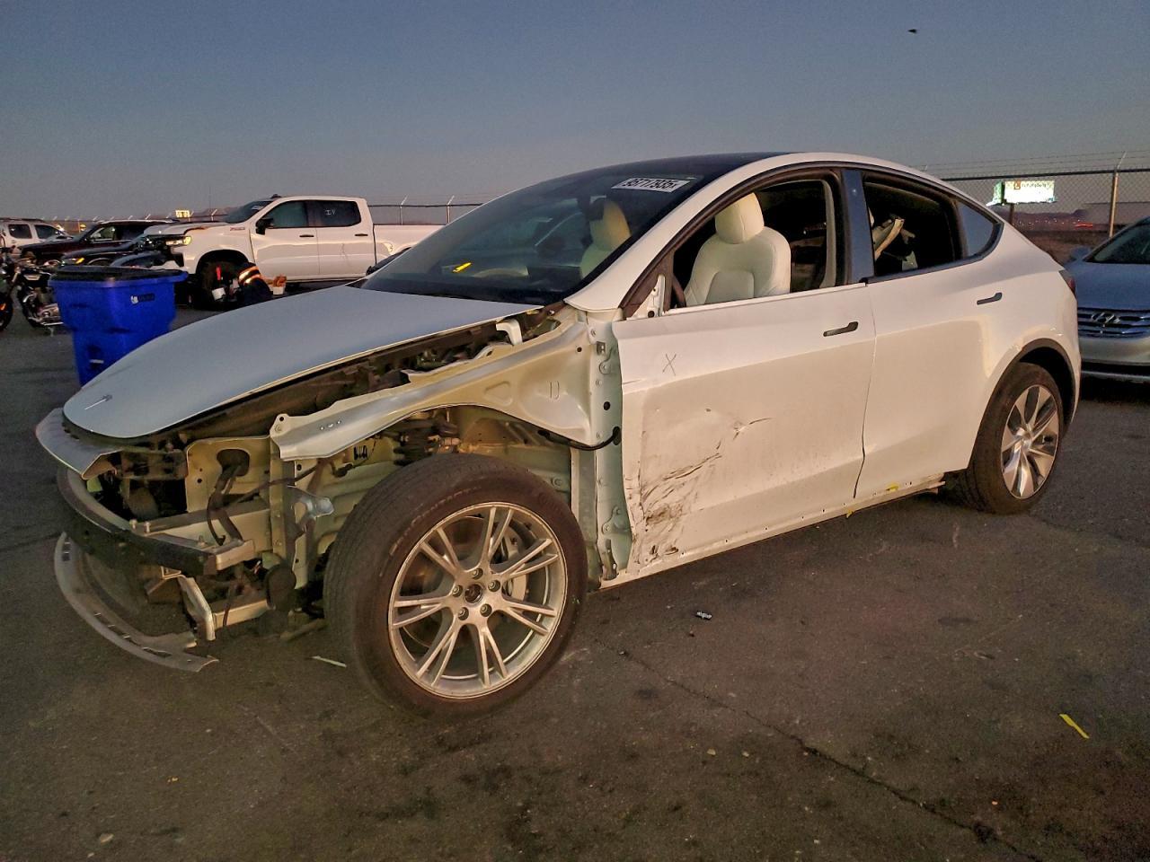 2021 TESLA MODEL Y