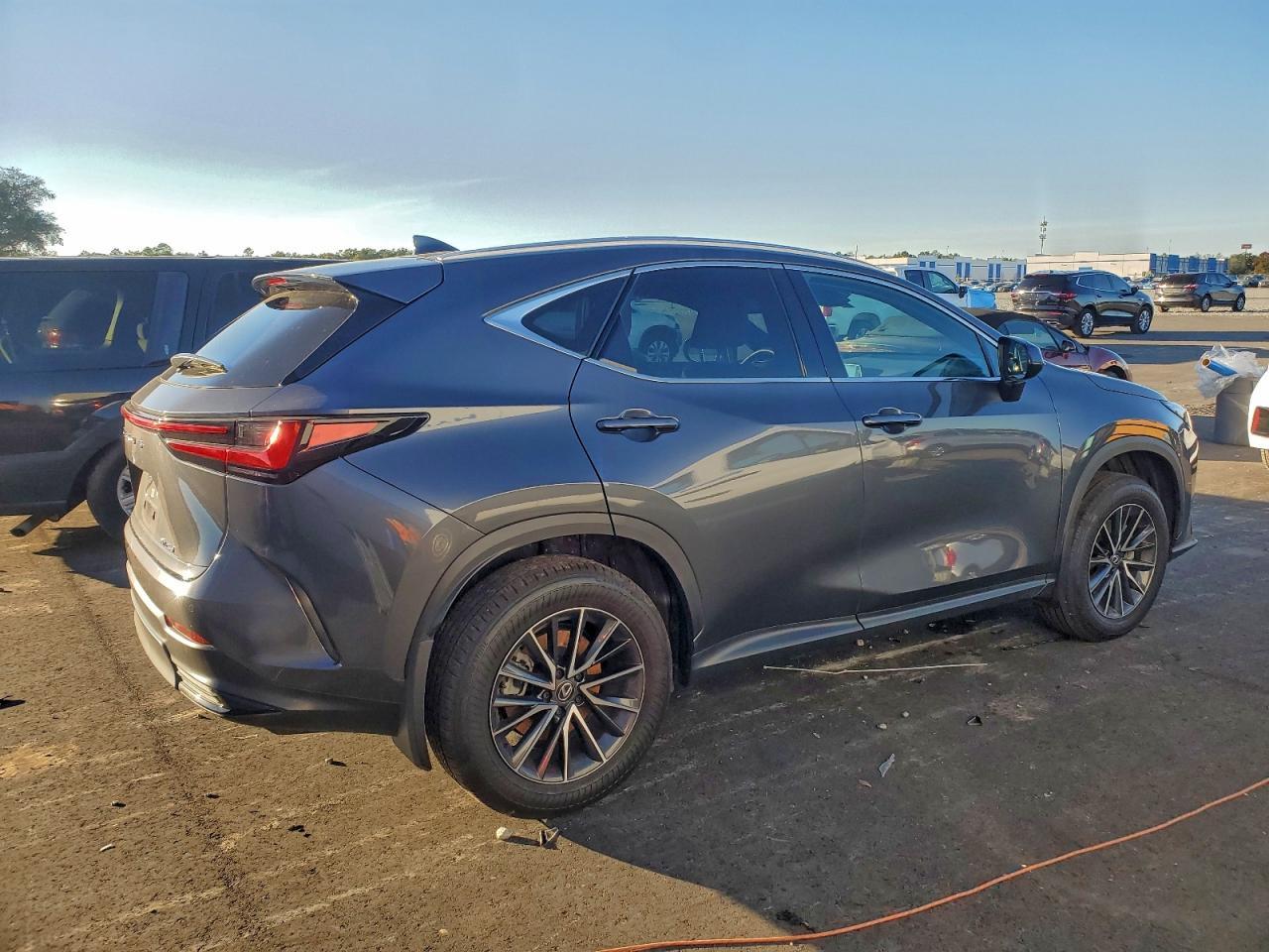 2025 LEXUS NX 250