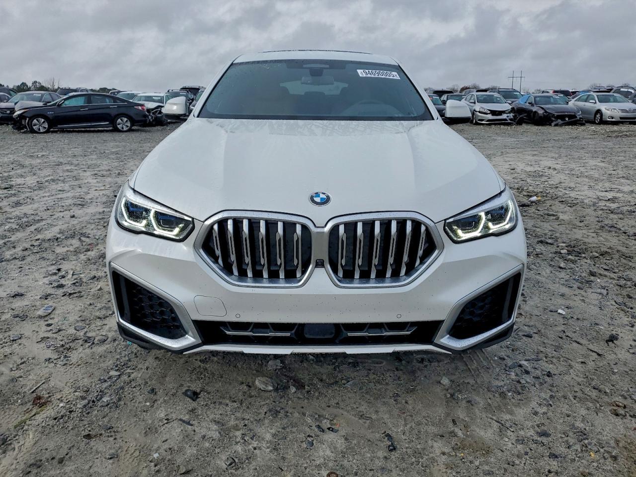 2023 BMW X6