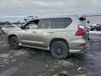 2021 LEXUS GX 460