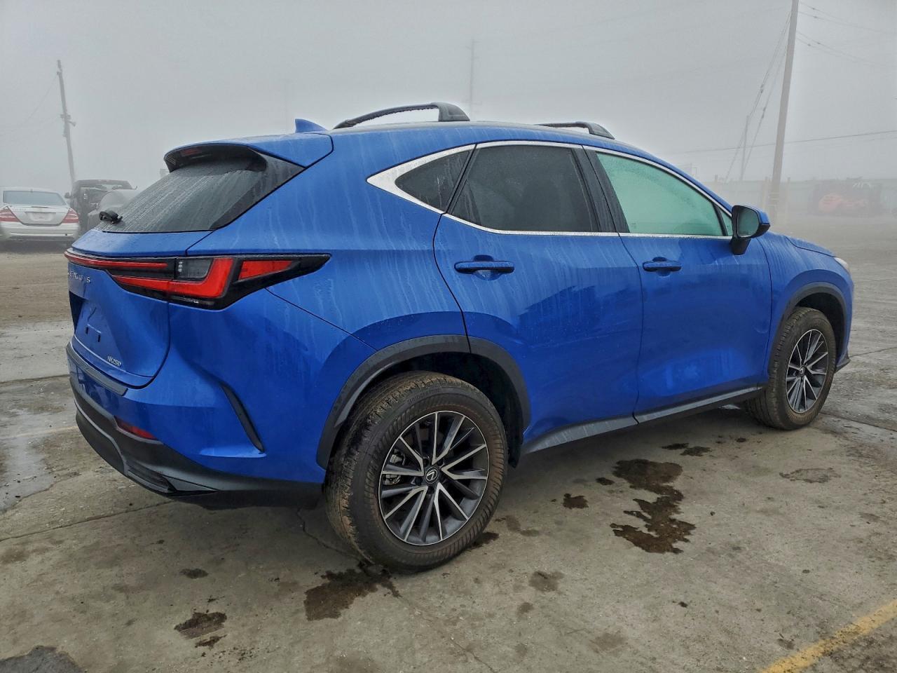 2025 LEXUS NX 250