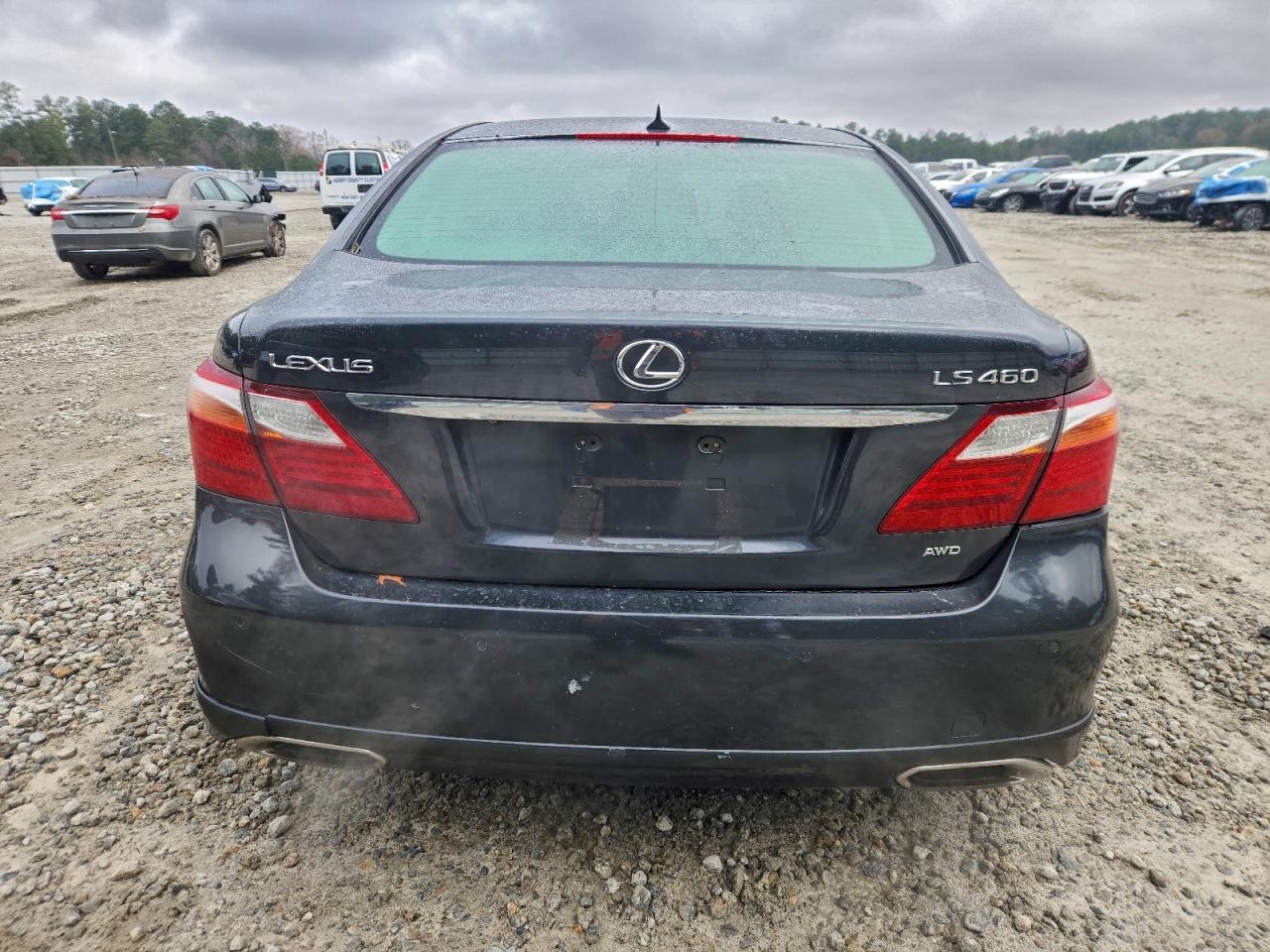 2010 LEXUS LS 460