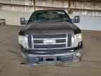 2009 FORD F-150
