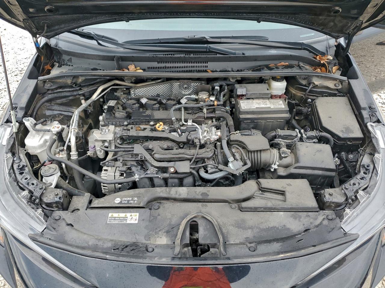 2023 TOYOTA COROLLA