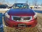 2010 HONDA ACCORD