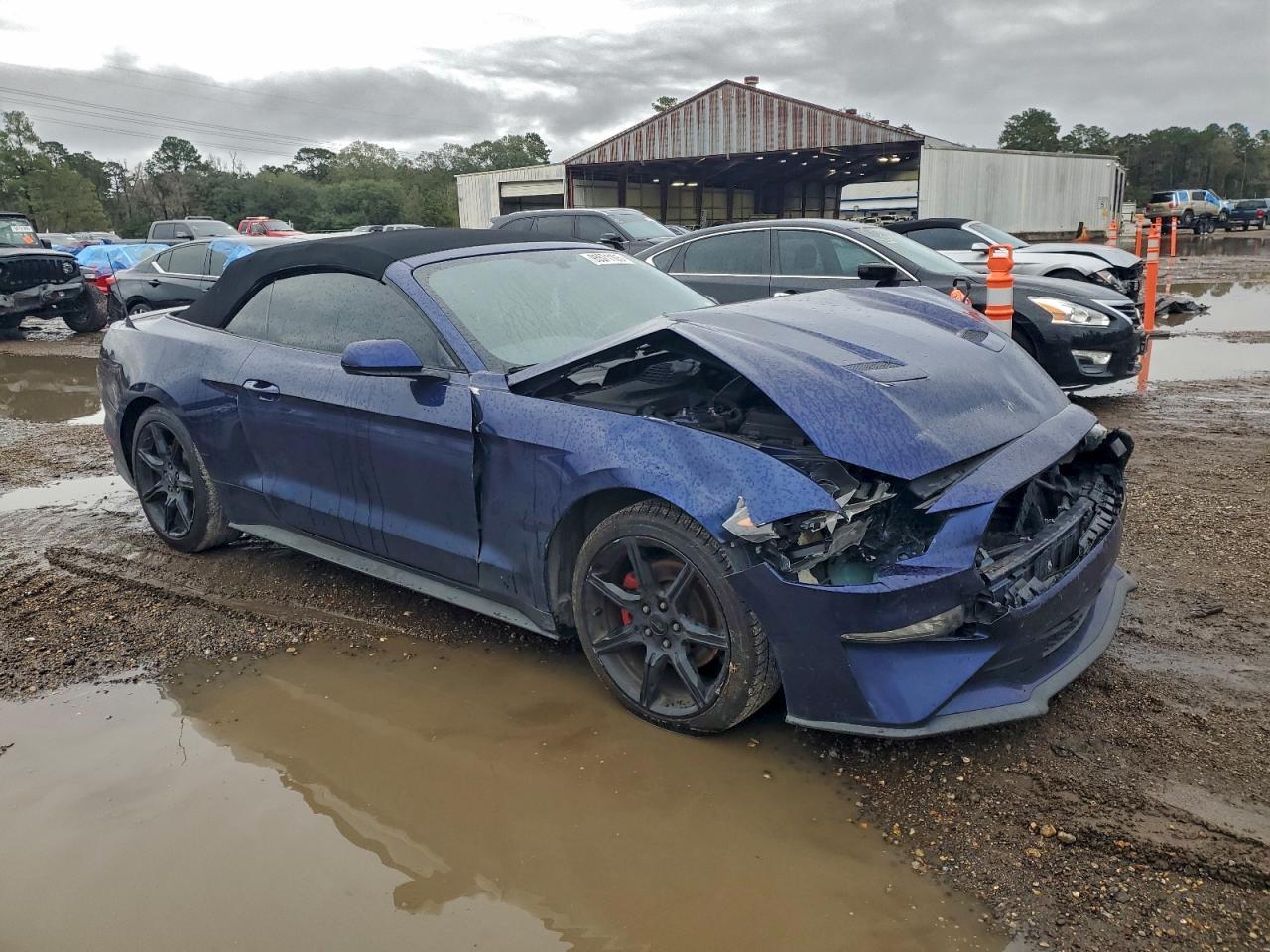 2019 FORD MUSTANG