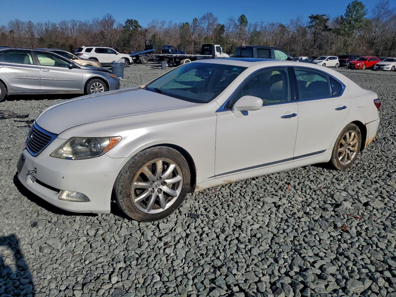 2007 LEXUS LS 460