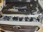 2024 TOYOTA Sequoia