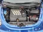 2004 VOLKSWAGEN Beetle