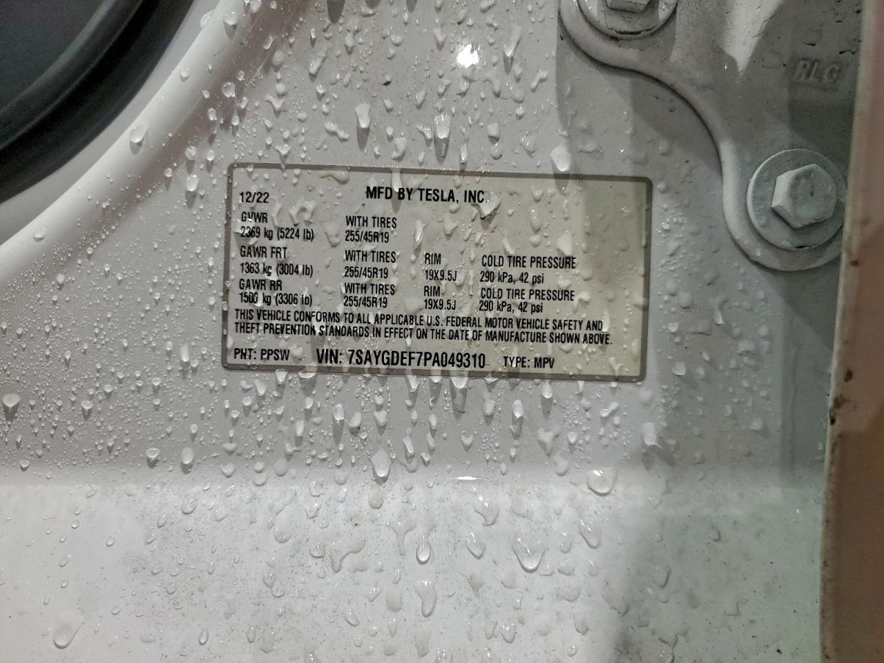 2023 TESLA MODEL Y