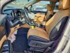2024 KIA Carnival