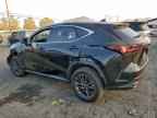 2023 LEXUS NX 350