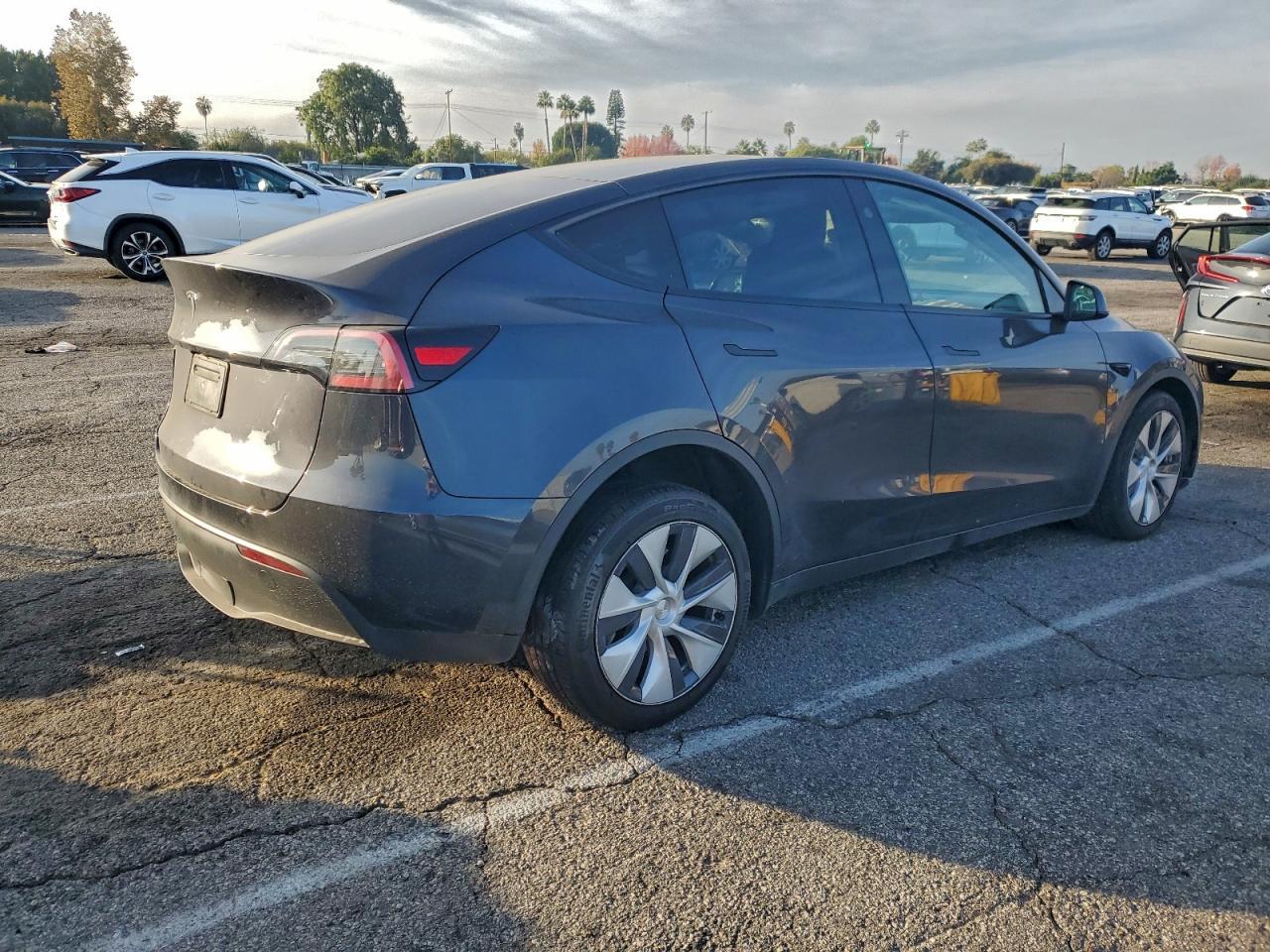 2024 TESLA MODEL Y