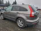 2010 HONDA CR-V
