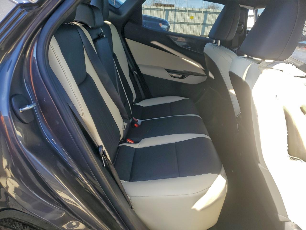 2024 LEXUS NX 350