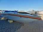 2022 BOAT 125cc