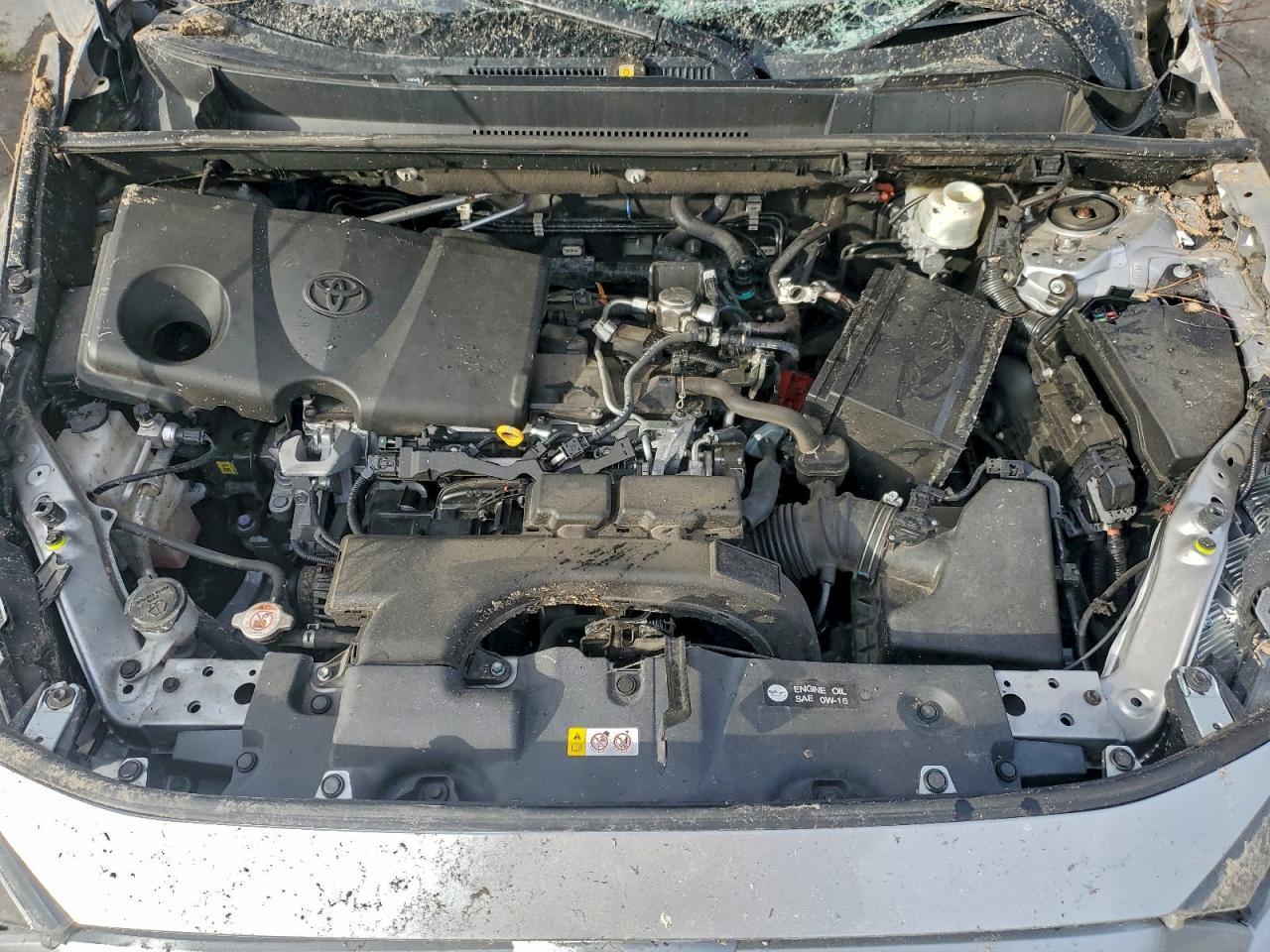 2019 TOYOTA RAV4