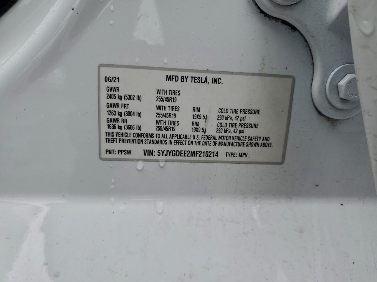 2021 TESLA MODEL Y