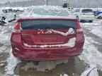 2010 HONDA Insight