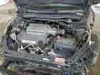 2010 HONDA ACCORD
