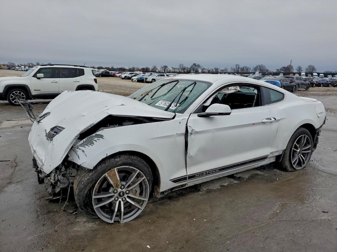 2019 FORD MUSTANG
