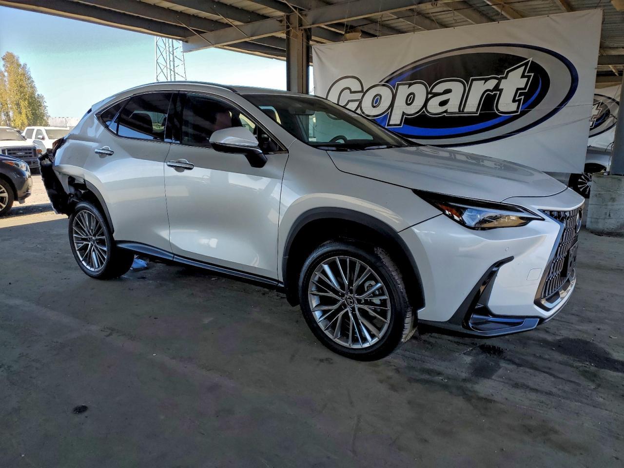 2025 LEXUS NX 350