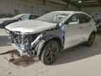 2025 LEXUS Nx