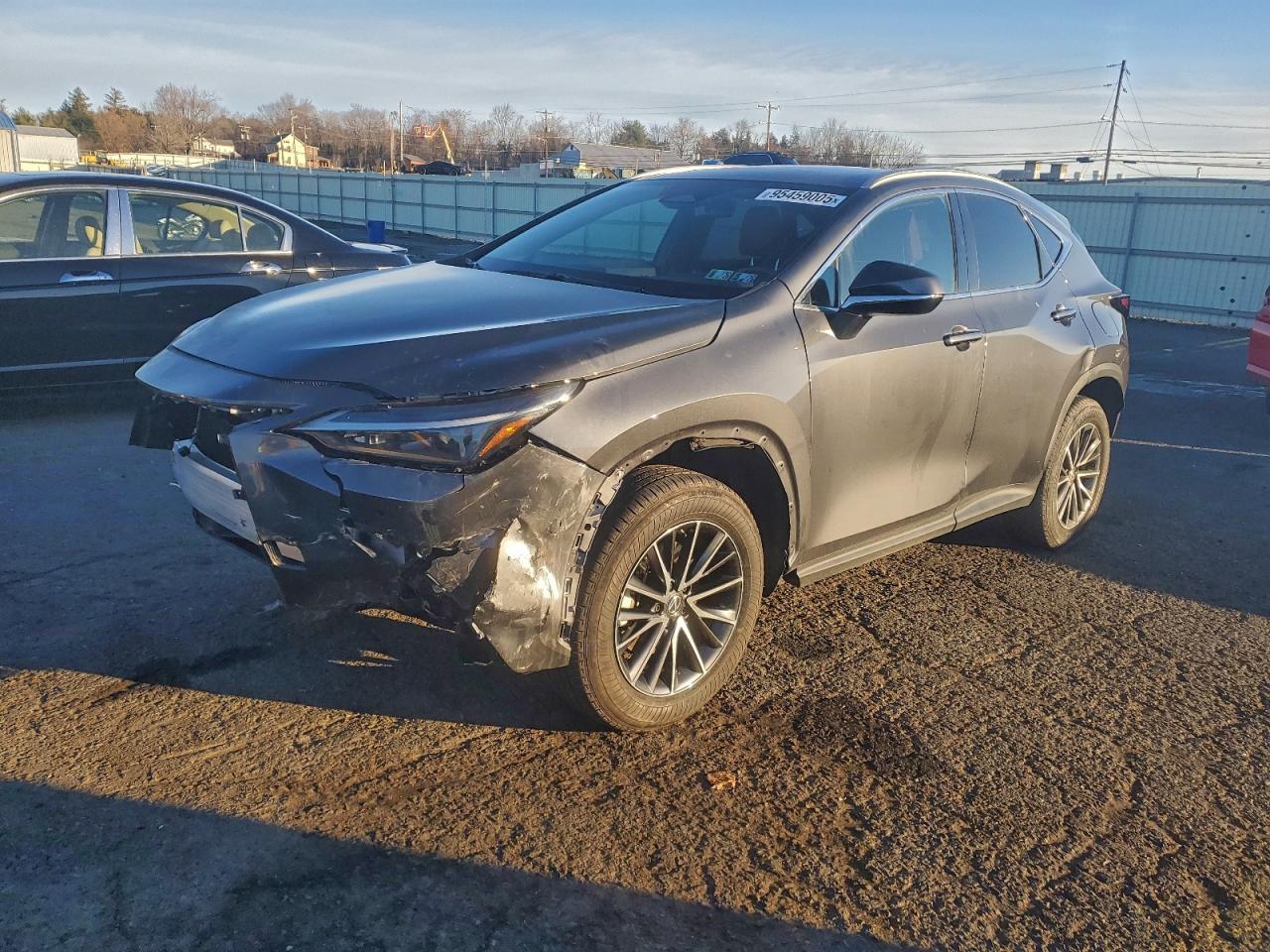 2025 LEXUS NX 350