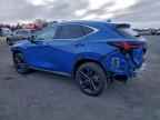 2025 LEXUS Nx