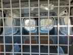 2023 FORD TRANSIT CONNECT