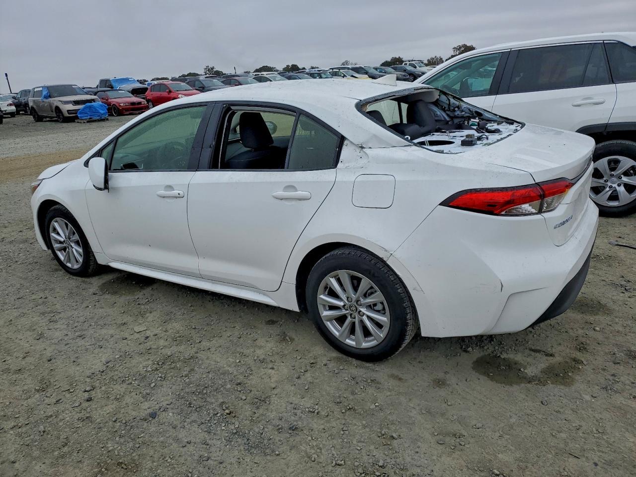 2024 TOYOTA COROLLA