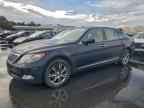 2009 LEXUS LS 460