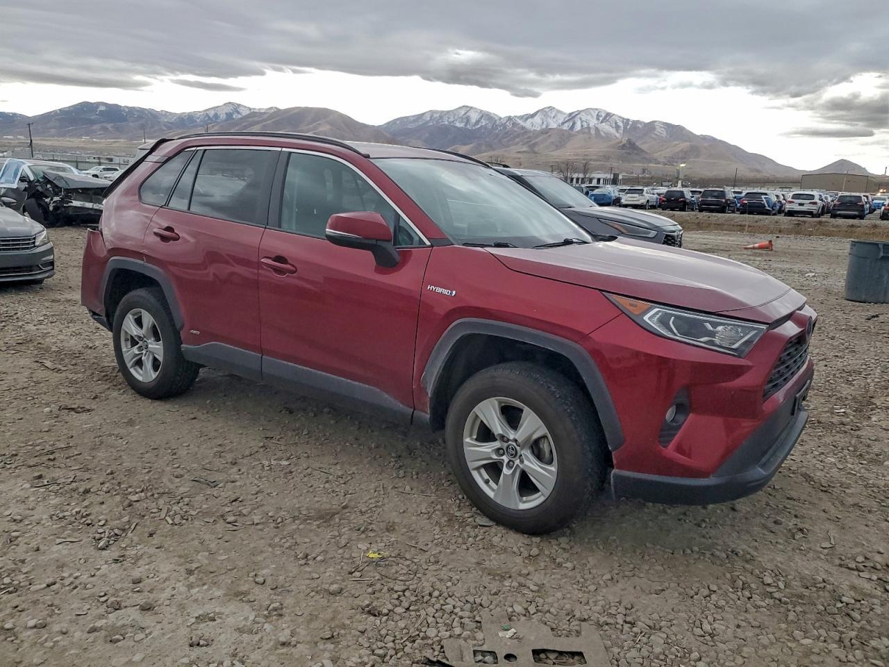 2019 TOYOTA RAV4