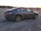 2013 NISSAN Maxima