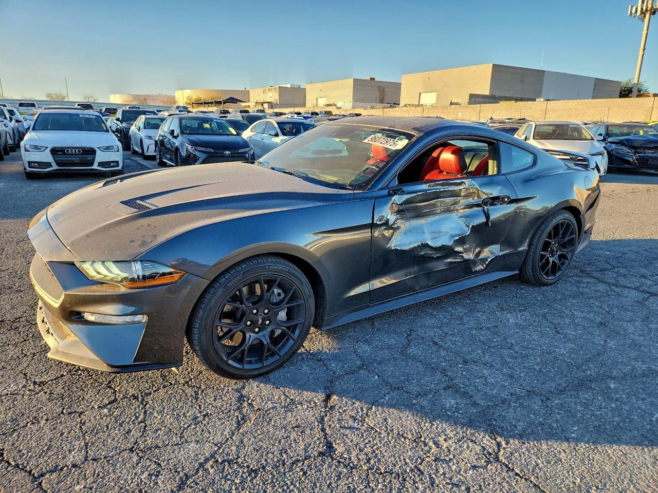 2019 FORD MUSTANG