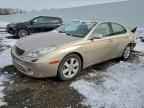 2006 LEXUS ES 330