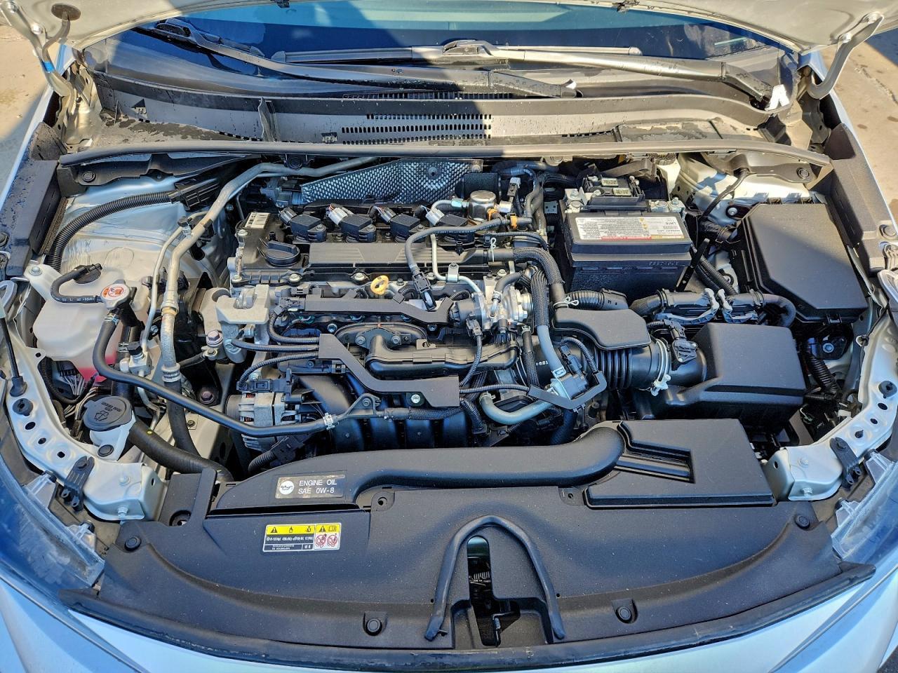 2023 TOYOTA COROLLA