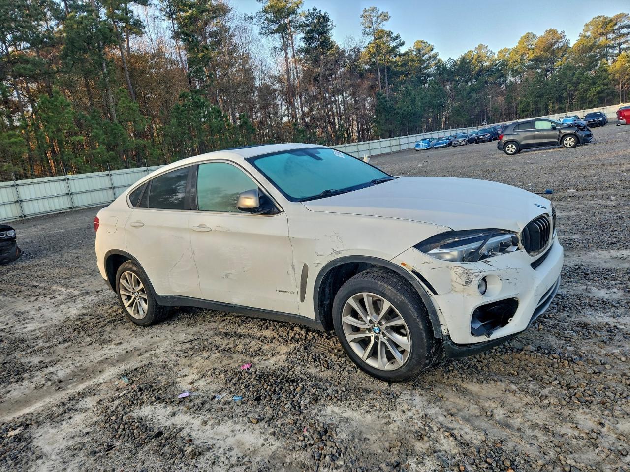 2017 BMW X6